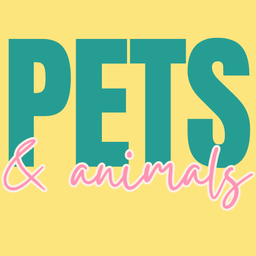 Pets and animal freshie collection